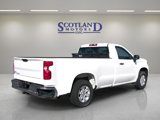 Used 2020 Chevrolet Silverado 1500 W/T w/ WT Fleet Convenience Package image 6