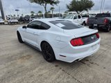 Used 2015 Ford Mustang Coupe w/ Ecoboost Performance Package image 3