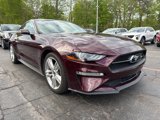 Used 2018 Ford Mustang Premium w/ Pony Package image 4