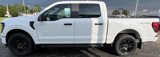 New 2025 Ford F150 STX w/ STX Black Appearance Package image 5