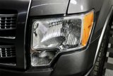 Used 2010 Ford F150 Platinum image 3
