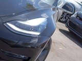 Used 2019 Tesla Model 3 Long Range image 4