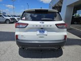 Used 2021 Ford Escape SE w/ SE Sport Appearance Package image 4