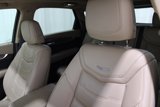 Used 2021 Cadillac XT5 Premium Luxury w/ Platinum Package image 5
