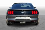 Certified 2019 Ford Mustang Coupe image 4