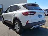 Used 2023 Ford Escape Active image 5