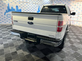 Used 2014 Ford F150 XLT w/ Equipment Group 301A Mid image 5