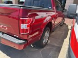 Used 2018 Ford F150 XLT w/ Equipment Group 302A Luxury image 6
