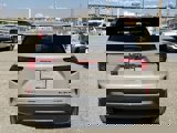 New 2025 GMC Terrain Elevation w/ Elevation Premium Package image 4