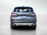 Used 2022 Ford Escape SE image 5