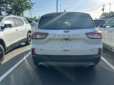 Used 2020 Ford Escape SEL image 3