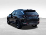 Used 2024 Hyundai Tucson Limited image 3