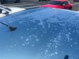 Used 2009 Toyota Prius image 4