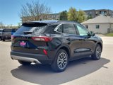 Used 2023 Ford Escape SE w/ PHEV Premium Package image 3