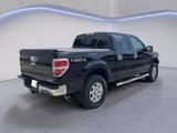 Used 2013 Ford F150 XLT w/ Luxury Equipment Group image 3