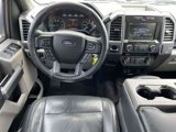 Used 2015 Ford F150 XLT w/ Equipment Group 302A Luxury image 6