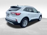 Used 2020 Ford Escape SE image 5
