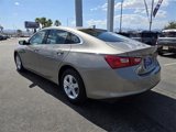 Used 2024 Chevrolet Malibu LT image 5