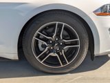 Used 2020 Ford Mustang Premium image 4