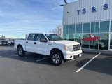 Used 2014 Ford F150 STX w/ Equipment Group 201A Mid image 3