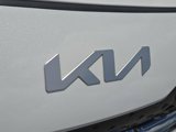 Certified 2022 Kia Niro Touring Special Edition image 4