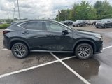 Used 2022 Lexus NX 350 AWD image 4