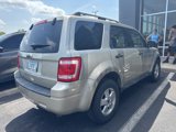 Used 2010 Ford Escape XLT image 3