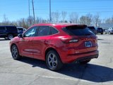Used 2023 Ford Escape ST-Line image 2