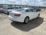 Used 2023 Chevrolet Malibu LT image 5