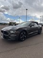 Used 2019 Ford Mustang Convertible w/ Equipment Group 101A image 4