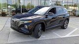 Used 2023 Hyundai Tucson Limited image 6