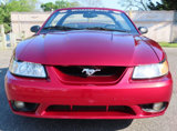 Used 1999 Ford Mustang Cobra image 5
