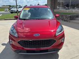 Used 2022 Ford Escape SEL image 2