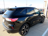 Used 2022 Ford Escape SE w/ SE Sport Appearance Package image 5