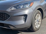 Used 2021 Ford Escape SE w/ Convenience Package image 2