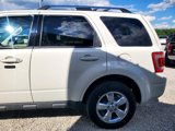 Used 2010 Ford Escape Limited image 5