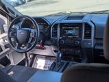 Used 2015 Ford F150 XLT w/ Equipment Group 302A Luxury image 2
