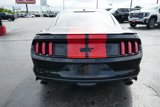 Used 2016 Ford Mustang GT Premium w/ Equipment Group 401A image 6