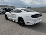 Used 2017 Ford Mustang Coupe image 4
