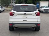 Used 2019 Ford Escape SE image 6