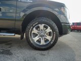 Used 2013 Ford F150 STX w/ Mid Equipment Group image 4