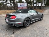 Used 2022 Ford Mustang Premium image 6