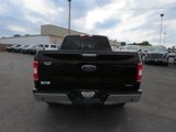Used 2019 Ford F150 XLT w/ Equipment Group 302A Luxury image 4