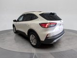 Certified 2022 Ford Escape SE w/ Convenience Package image 3
