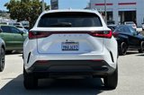 Used 2025 Lexus NX 350 AWD w/ Premium Package image 5