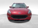 Used 2020 Ford Escape SEL image 2