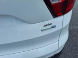 Used 2019 Ford Escape SE image 5