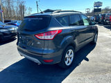 Used 2016 Ford Escape SE w/ SE Leather Comfort Package image 5