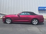 Used 2016 Ford Mustang Convertible image 5