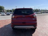 Used 2017 Ford Escape Titanium image 4